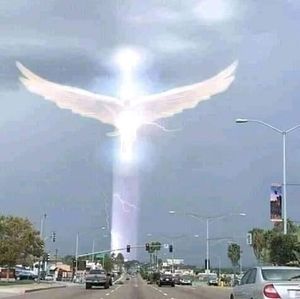 Meet your Posher, Derrick